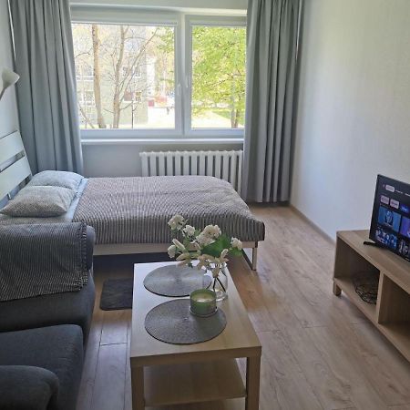 Modern Studio Debreceno, Self-Check-In, Free Parking Klaipeda Exterior foto