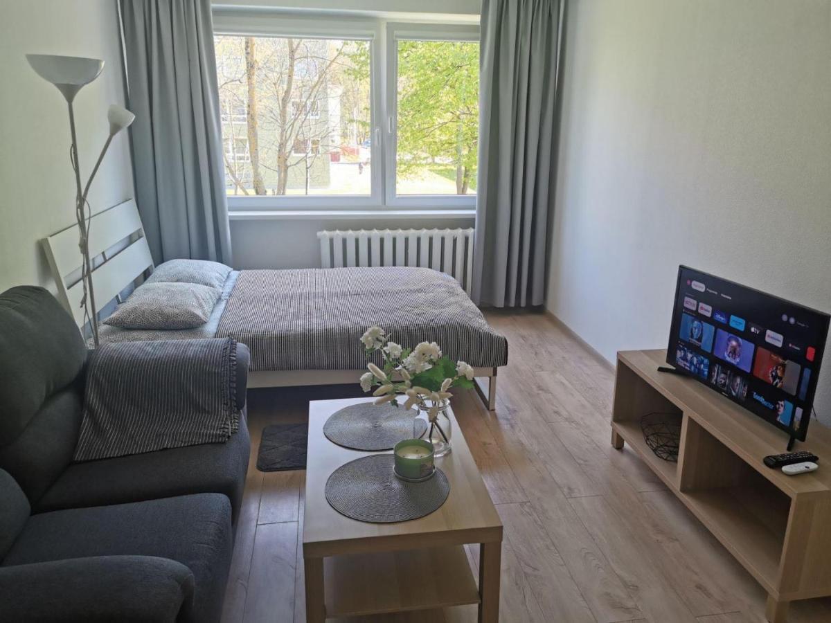 Modern Studio Debreceno, Self-Check-In, Free Parking Klaipeda Exterior foto
